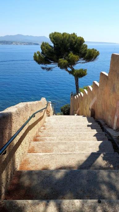 Front De Mer - Emplacement Prise Au Calme - T2 Moderne Et Entierement Climatise - Tout A Pieds Sanary-sur-Mer Exterior foto